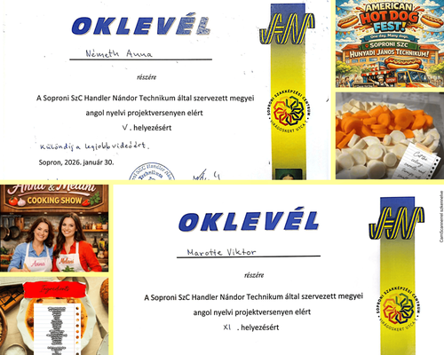 Szép eredmények a Handler Megyei Nyelvi Projektversenyen👏