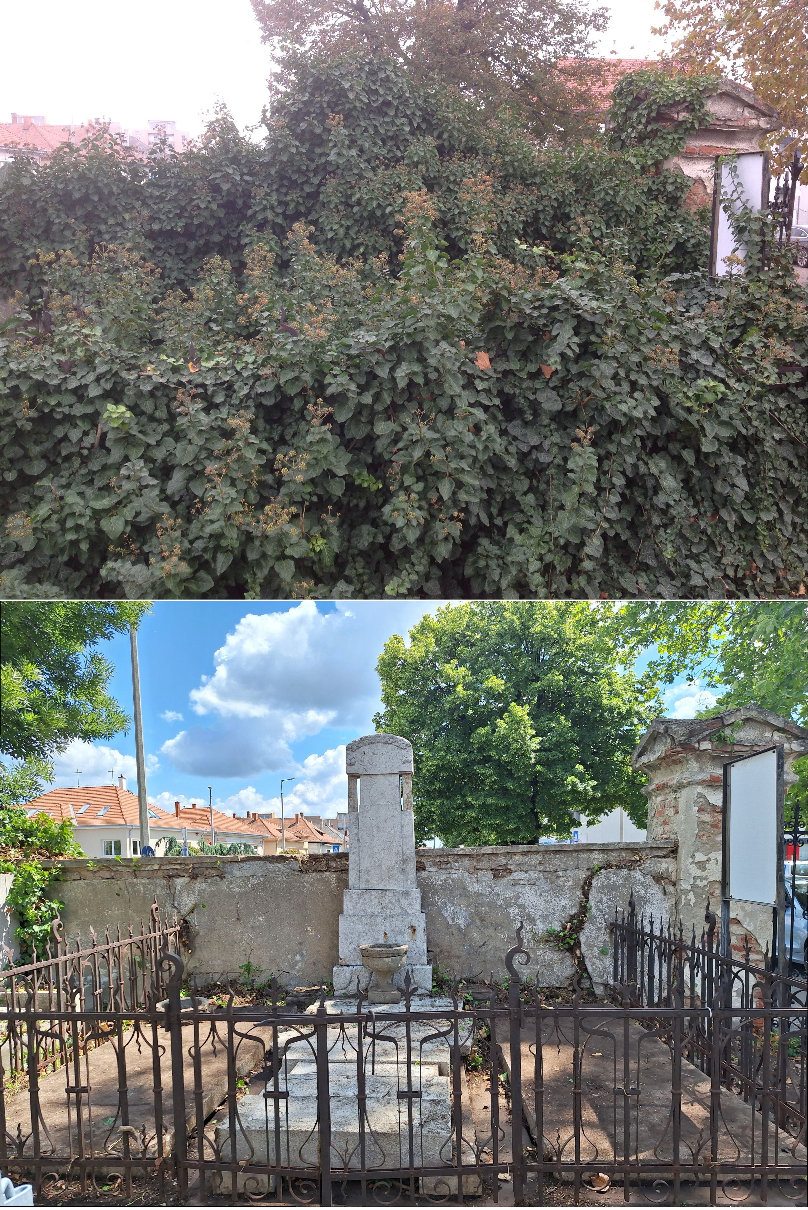 változás  (1).JPG